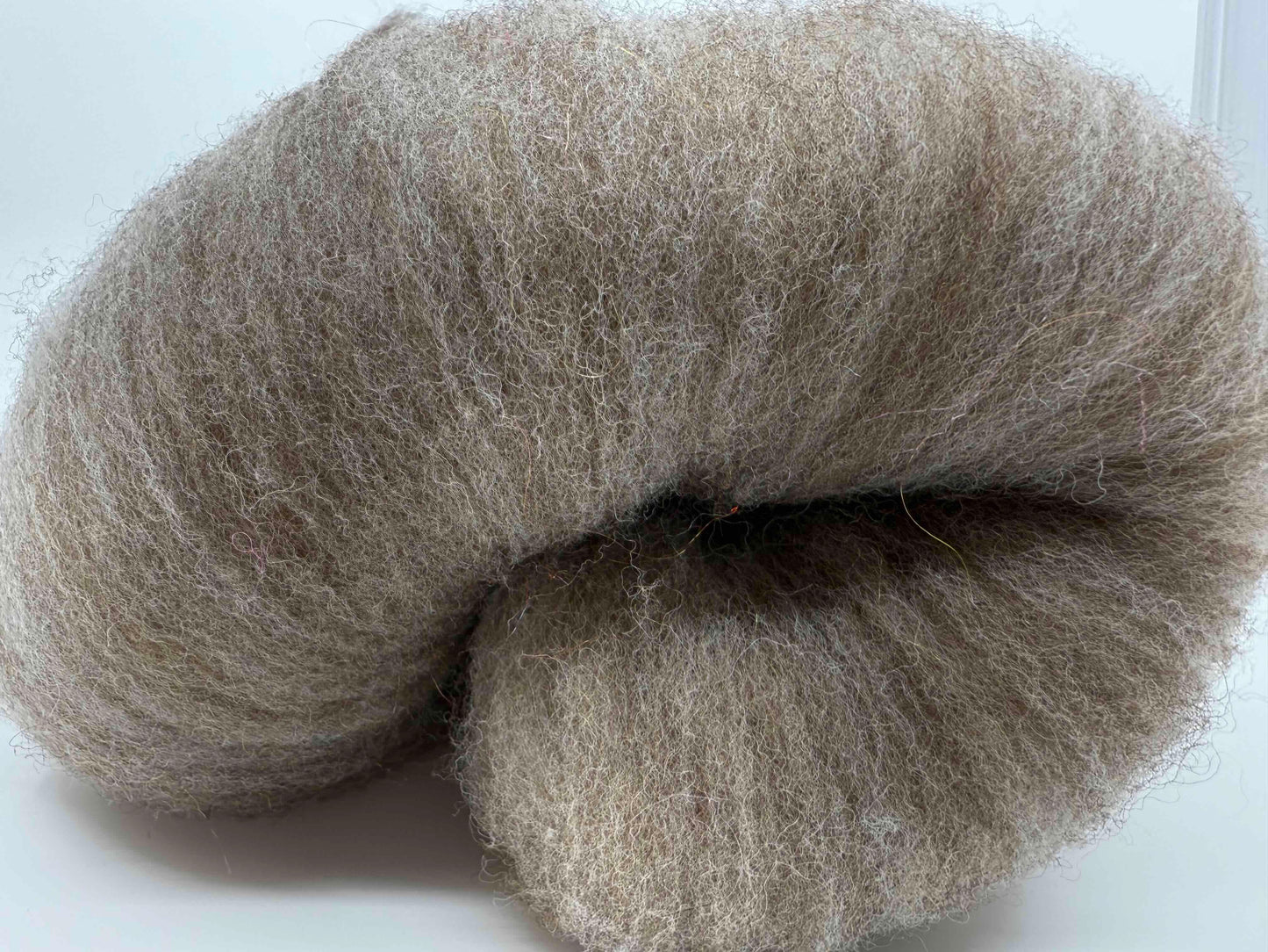 Batt - Ryeland Breed - Source UK