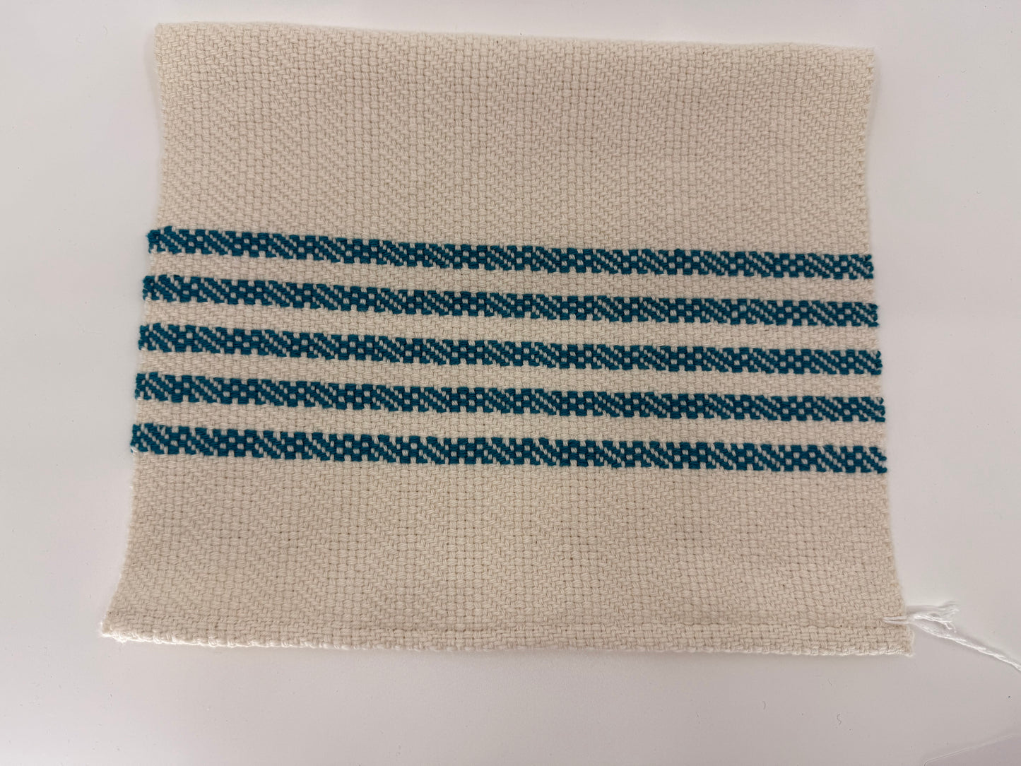 Beginning Shaft Loom Weaving Workshop - Nov 14-16