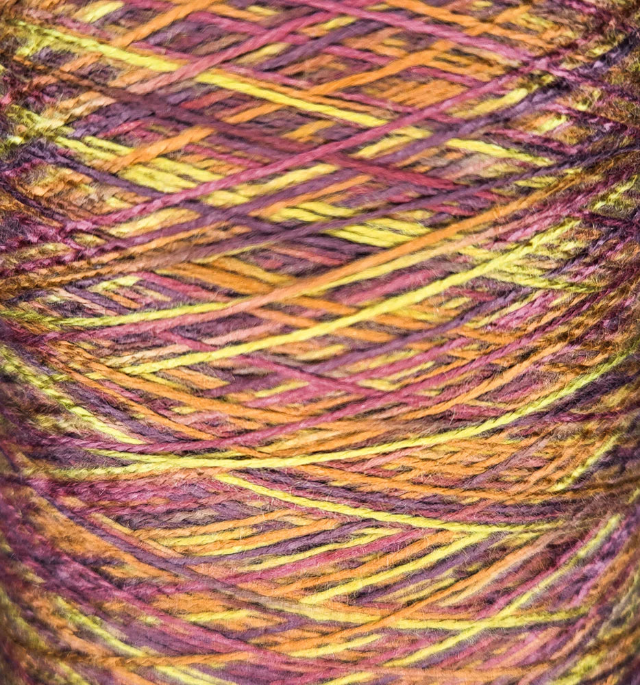 8/2 Tencel - Multi-Color - MSYG