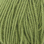 Plymouth Yarn Encore