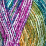 Plymouth Yarn Encore Colorspun