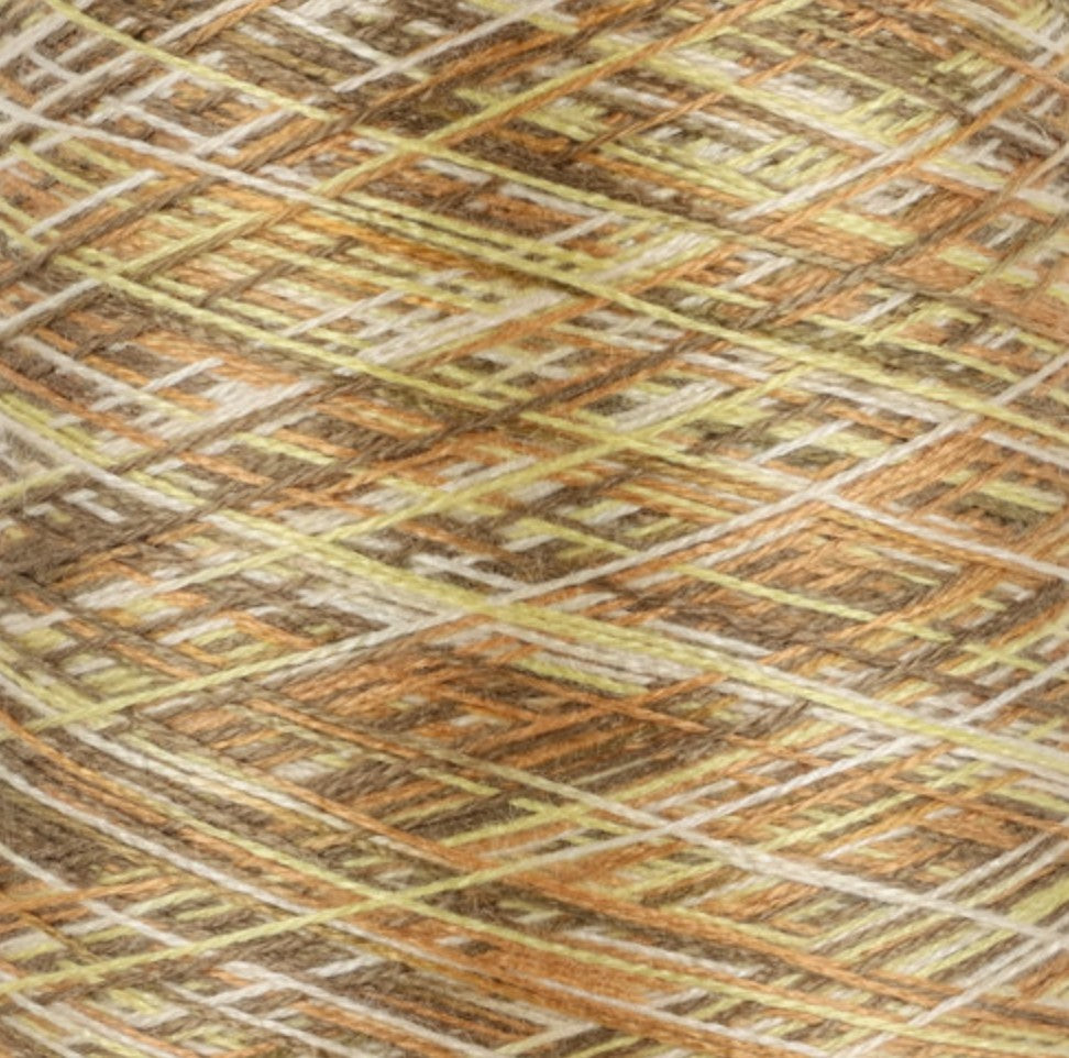 8/2 Tencel - Multi-Color - MSYG