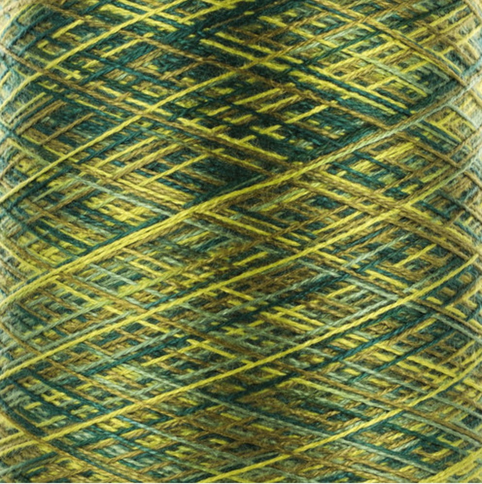 8/2 Tencel - Multi-Color - MSYG