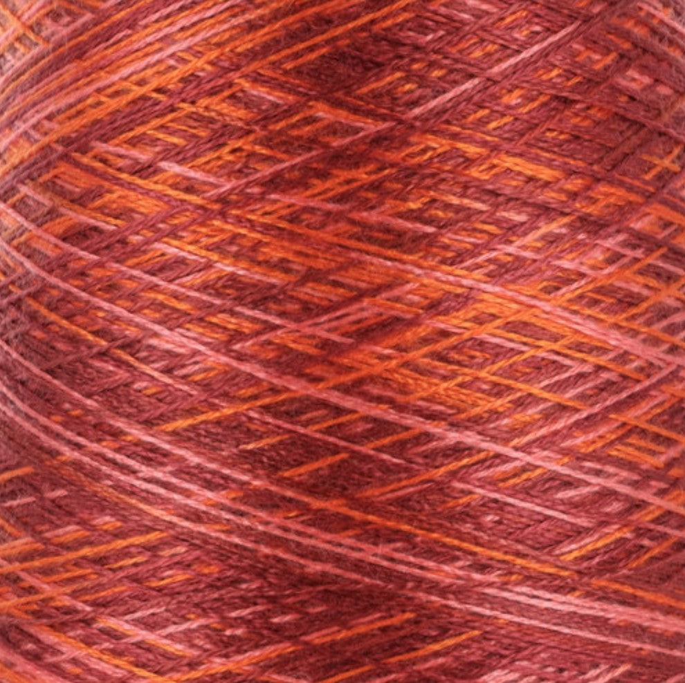 8/2 Tencel - Multi-Color - MSYG