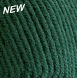 Plymouth Yarn Encore