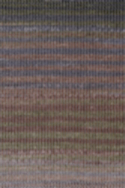 LoftyFiber Extrafine Merino Wool